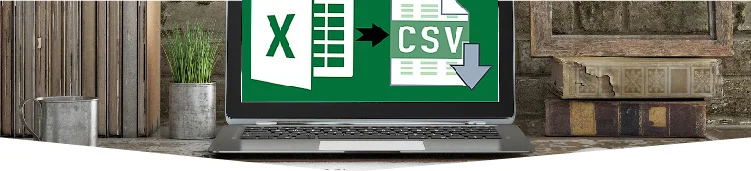 XLS-and-CSV-conversion-services